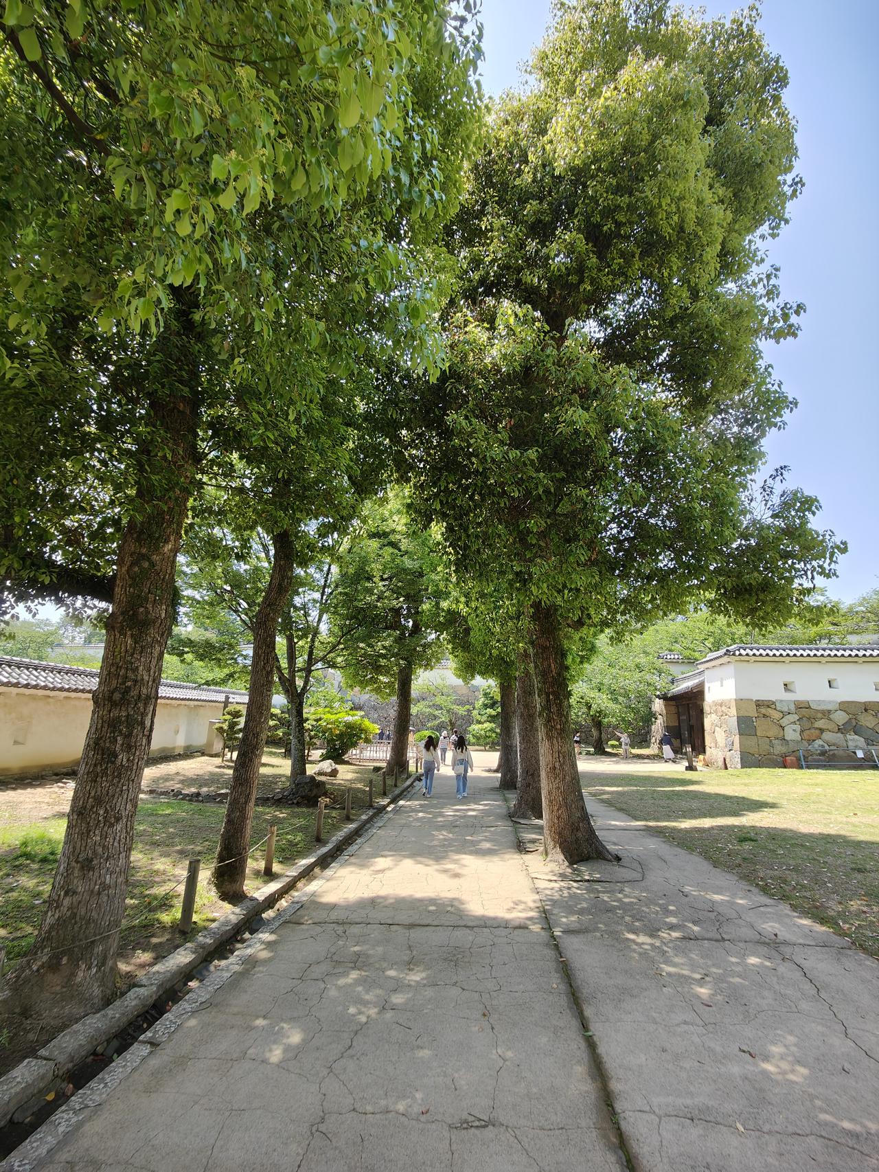Himeji Castle Nishinomaru Stephen — photo 2